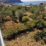 Homestay Olivia Grove Himare