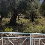 Olivia Grove Homestay Himare