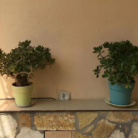 Olivia Grove Homestay Himare