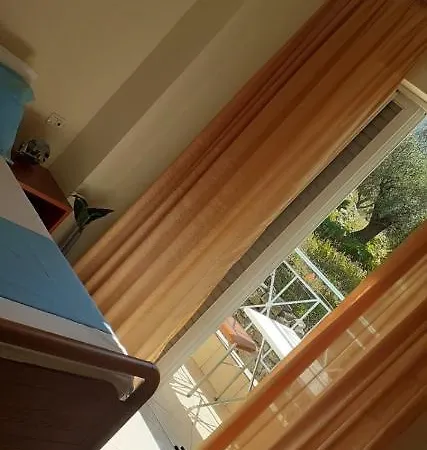 Olivia Grove Homestay *