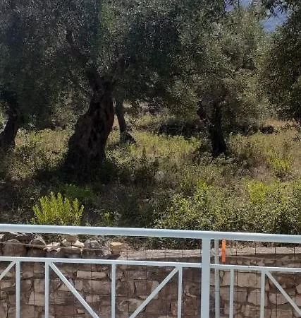 Olivia Grove Homestay Himare
