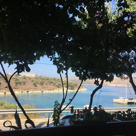 Olivia Grove Séjour chez l'habitant *