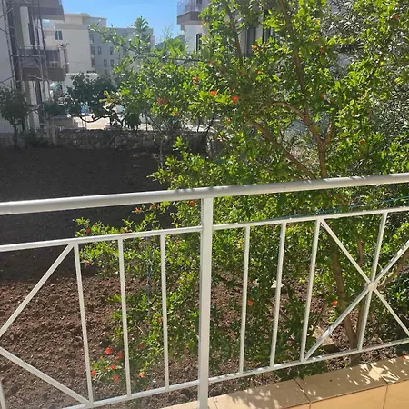 Séjour chez l'habitant Olivia Grove