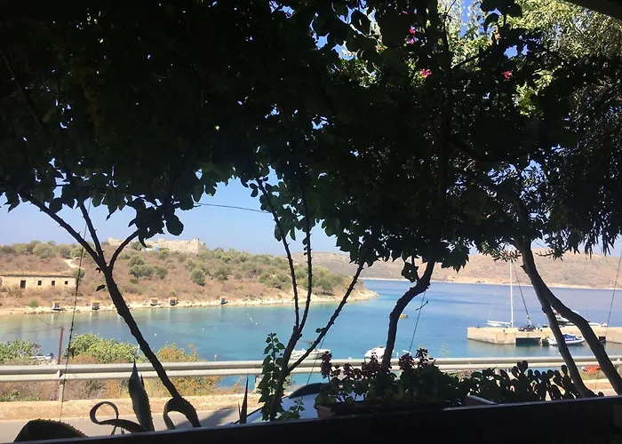 Olivia Grove Kwatera prywatna *