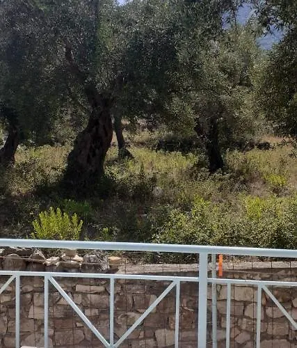 Olivia Grove Kwatera prywatna Himara