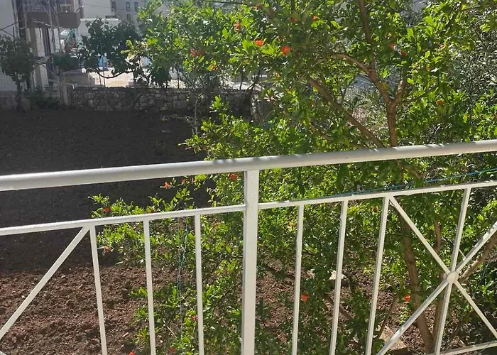 Kwatera prywatna Olivia Grove